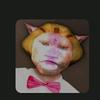 W I L L B U R G E R - @willburgercatmisson - TikTok