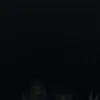 willcarpenter - @willcarpenter - TikTok