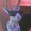 willadavis3 - @willadavis3 - TikTok