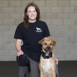 Willa - @willa.huntercanine - Instagram