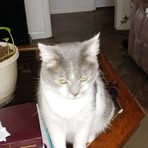Willa Quinn - Facebook