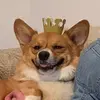 Willard B Anthony - @willard.b.a - TikTok