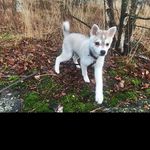 @willard_arnoldu - Instagram