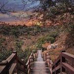 Curtis Carpenter 899 - @willardboyd_206608 - Instagram