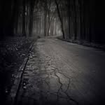 Will Burton - @willardfburton - Instagram