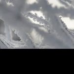@willardbutlery - Instagram