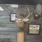 Willard Cox - @willard.cox.14606 - Instagram