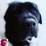 willardjoel Craft - @willardjoel_craft - Instagram