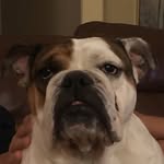 Craig Willard - @craigwillard5555 - Instagram