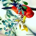 Willard Fowler - @goofyguy962 - Instagram