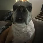 Willard Haynes - @willard_53 - Instagram