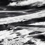 Guillaume kucw Adam - @willardhill_117477 - Instagram