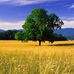 Willard Marsh - Facebook
