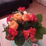 Willams Newman - Facebook