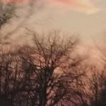 Willard Newman - @molls_xiong - Instagram