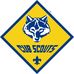 Willard Pack 89 Cub Scouts  - Facebook