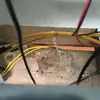 Willard Roy - @willard.roy - TikTok