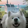 willardroy87125 - @willardroy87125 - TikTok