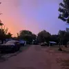 Will Shepherd - @will.shepherd7 - TikTok