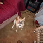 Willard strickland - @stricklandwill97 - Instagram