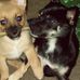 Willard Strickland - Facebook