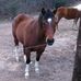 Willard Terrell - Facebook