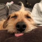 Marin Smith - @walter.and.willard - Instagram
