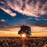 Allen Washington 820 - @willardwalters58992011 - Instagram