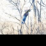 @willardwaltersd6 - Instagram