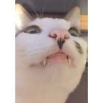 @wallywillardwalton - Instagram