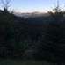 Willard, Washington - Facebook