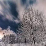 Heidi Bell 315 - @willardweaver3273725 - Instagram