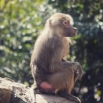 Willard Weaver - @willardweaver77 - Instagram