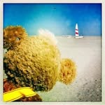 @willardwebb3 - Instagram