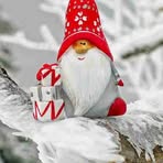 Willard Weimer - Facebook