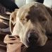 Willard Welch - Facebook