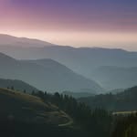 Willard West - @willardwest10 - Instagram