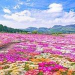 Babur Elicin 589 - @willardwheeler3441057 - Instagram