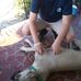 Willard Wheeler - Facebook