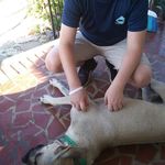 Willard Wheeler - @willard.wheeler.37 - Instagram