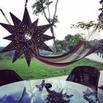 @willardwheelerd - Instagram
