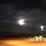 Willard R Wolf - @willardrwolf - Instagram