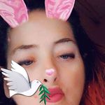 Willard Workman - @willard_workman_1 - Instagram