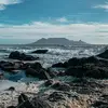 willem putter - @willem.putter - TikTok