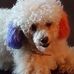 Willena Glaster - Facebook