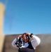 Waleedah Fester - Facebook