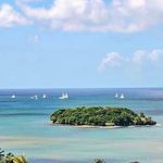 Willi Schmidt - @willisinselfahrten_st.lucia - Instagram