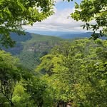 William Aarons - @wraarons - Instagram
