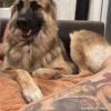 William Abert - @william.abert4 - TikTok