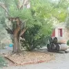 williamaden3 - @williamaden3 - TikTok